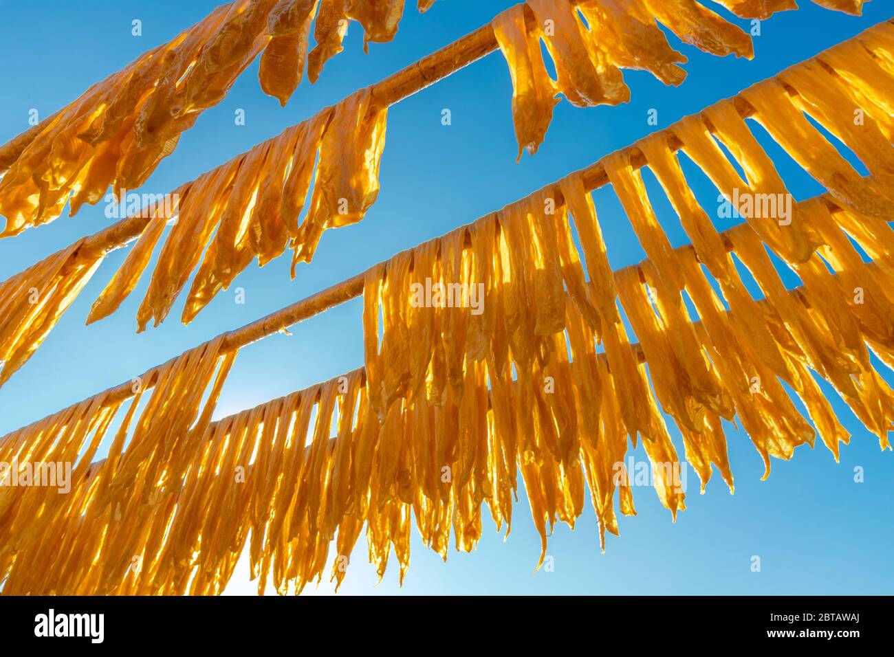 Drying beancurd stick on bamboo pole under sunlight Stock Photo Alamy
