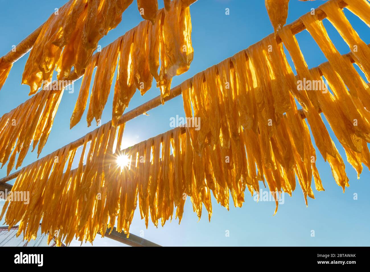Drying beancurd stick on bamboo pole under sunlight Stock Photo Alamy