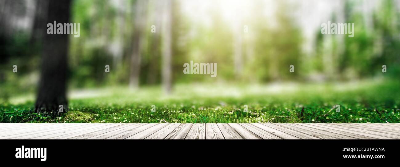 Trees ecology hi-res stock photography and images - Alamy