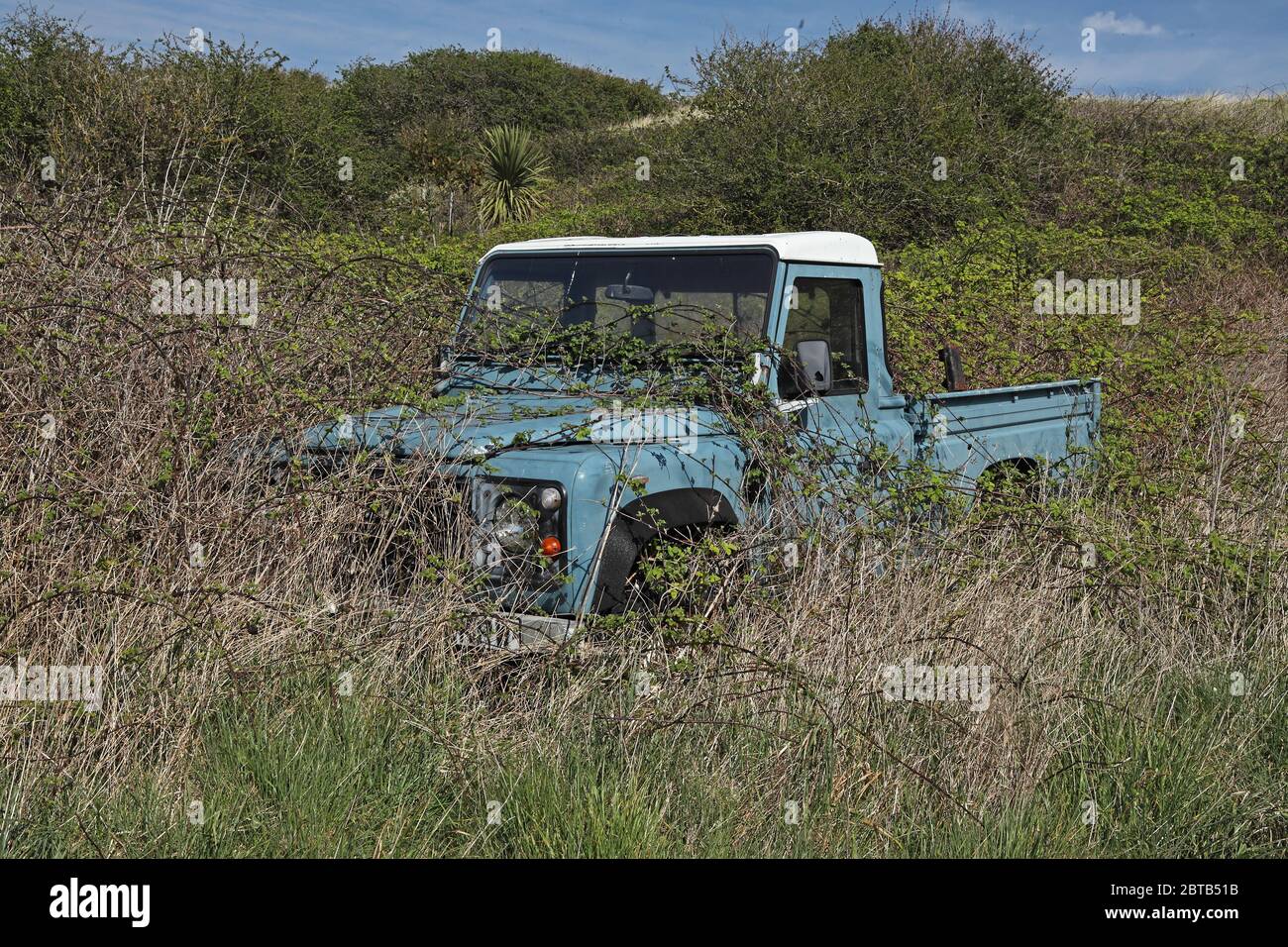 Land Rover abandoned in scrub and overgrown with brambles  Eccles-on-Sea, Norfolk, UK, Europe                        April Stock Photo