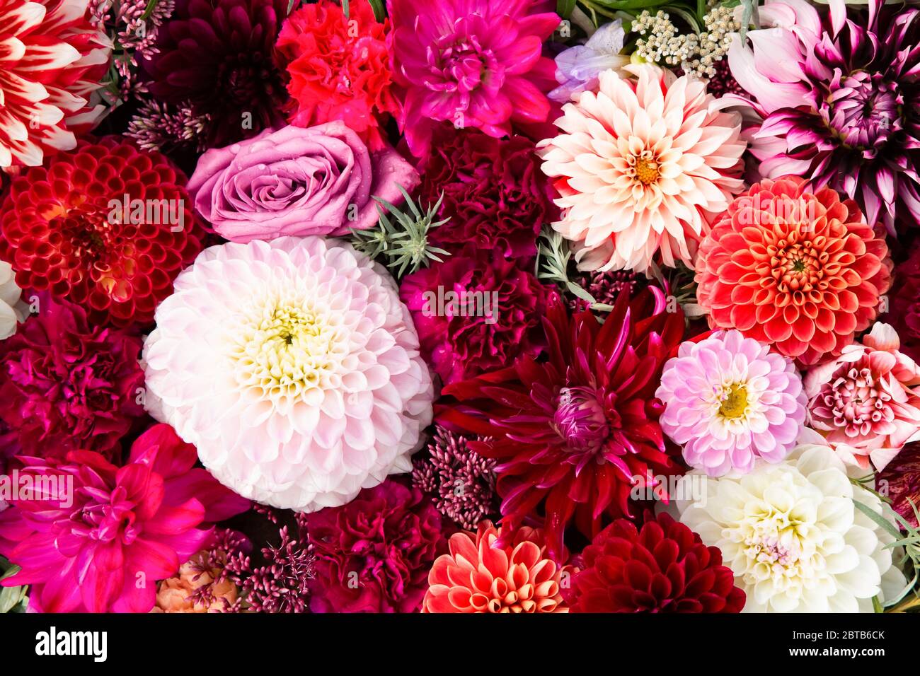 Colorful flowers background. Red asters and roses flowers. Top view