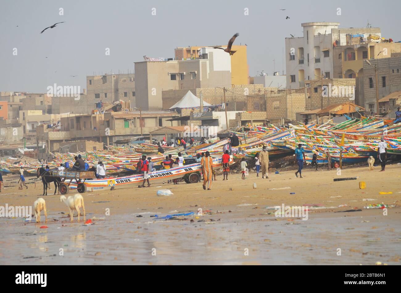 Dakar population density hi-res stock photography and images - Alamy