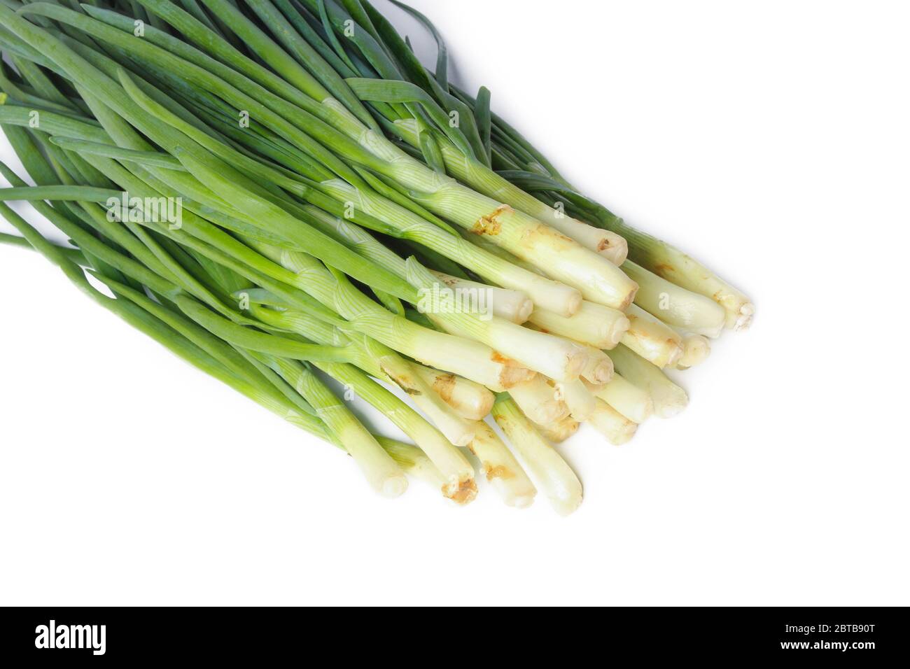 Bunch of chives on white background Stock Photo - Alamy