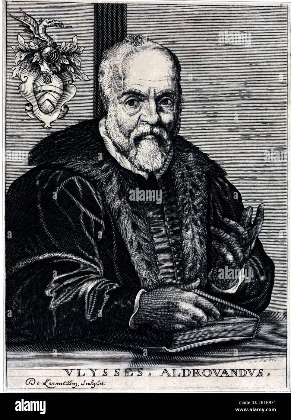 1590 c, ITALY : The italian naturalist , enthomologist ,  biologist , botanist ULISSE ALDROVANDI ( 1522 - 1605 ) aka Ulysses Aldrovandus aka Aldovrandi . Portrait by engraver Nicolas de Larmessin ( 1632 - 1694 ) . - HISTORY - foto storica storiche - portrait - ritratto - NATURALISTA - NATURALIST - SCIENZA - SCIENCE - BIOLOGY - BIOLOGIA - ENTOMOLOGO - ENTOMOLOGIA - BOTANICO - BOTANICA - BOTANIC - illustration - illustrazione - incisione - engraving  - beard - barba - libro - book --- Archivio GBB Stock Photo