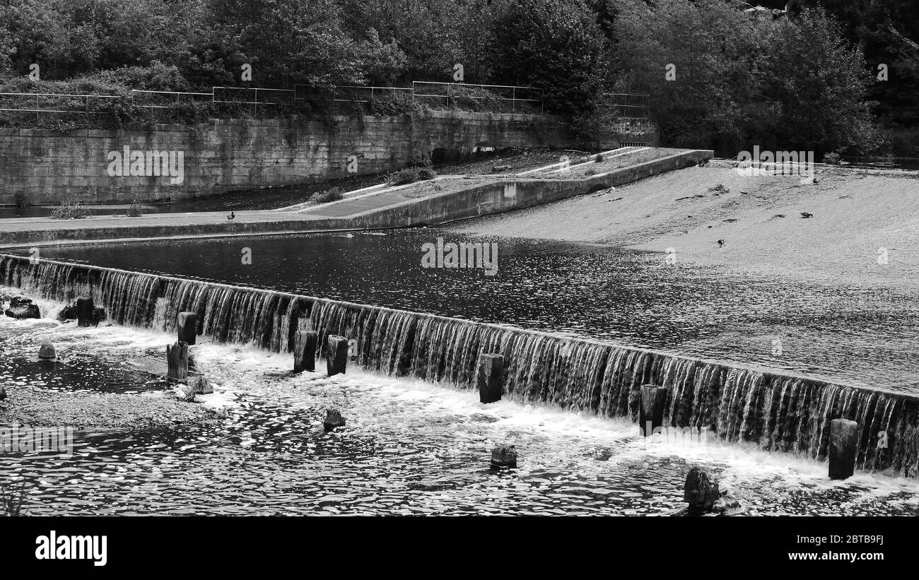 Fish Pass and Weir on the River Derwent, Derwent Country Park, Swalwell, Gateshead, UK.   The fish pass assists the migration and movement of Salmon, Stock Photo