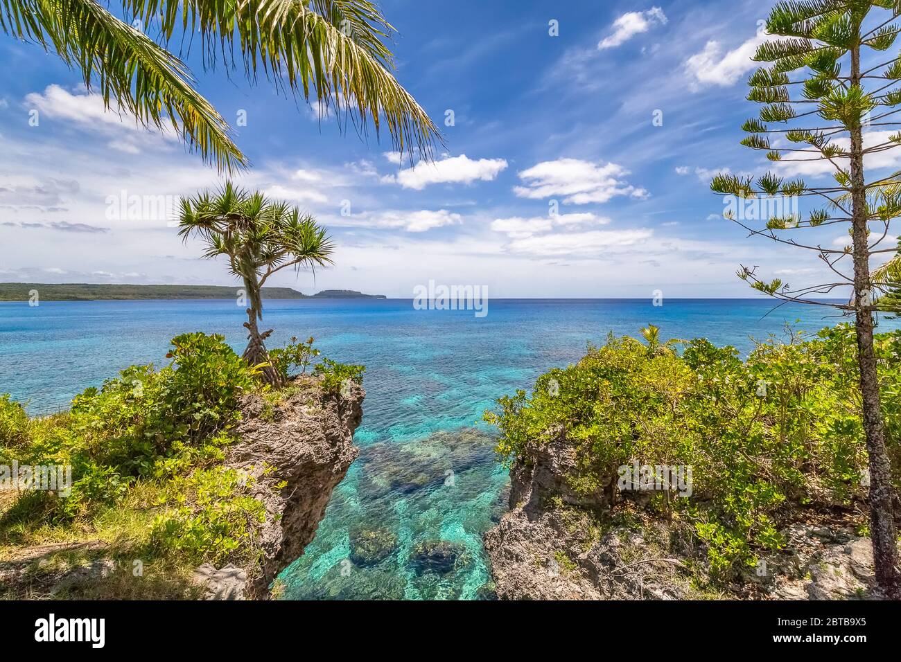 Scenic landscape with a single tree on top of a curved cliff, palm tree, pine and beautiful turquoise waters on the Island of Mare, New Caledonia Stock Photo