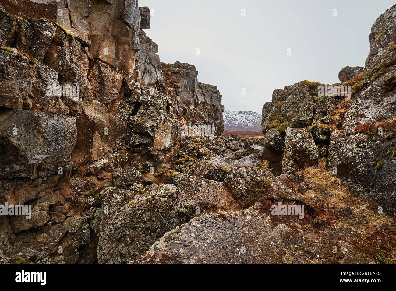 Thingvellir landscape in Iceland with rocky terrain, rift valley Stock Photo