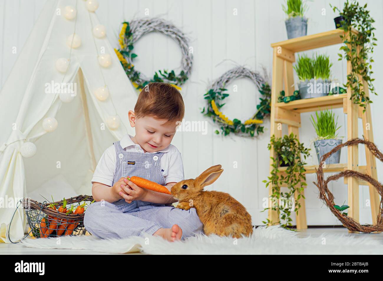 Child feeding rabbit carrot hi-res stock photography and images - Alamy