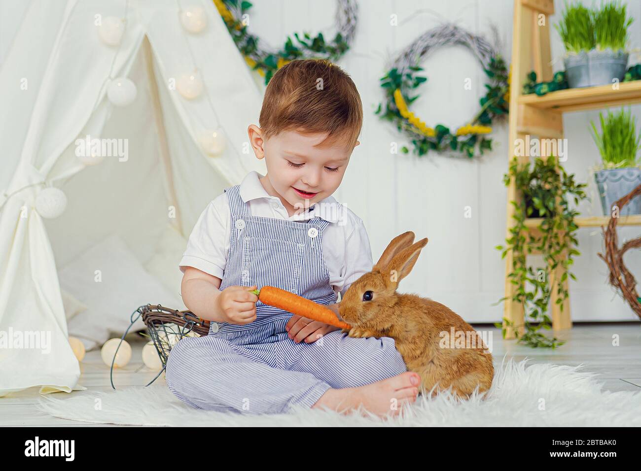 Happy laughing little boy playing with a baby rabbit, feeding it ...