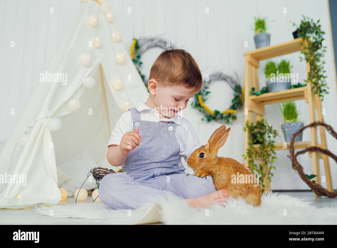 Happy laughing little boy playing with a baby rabbit, hugging real ...