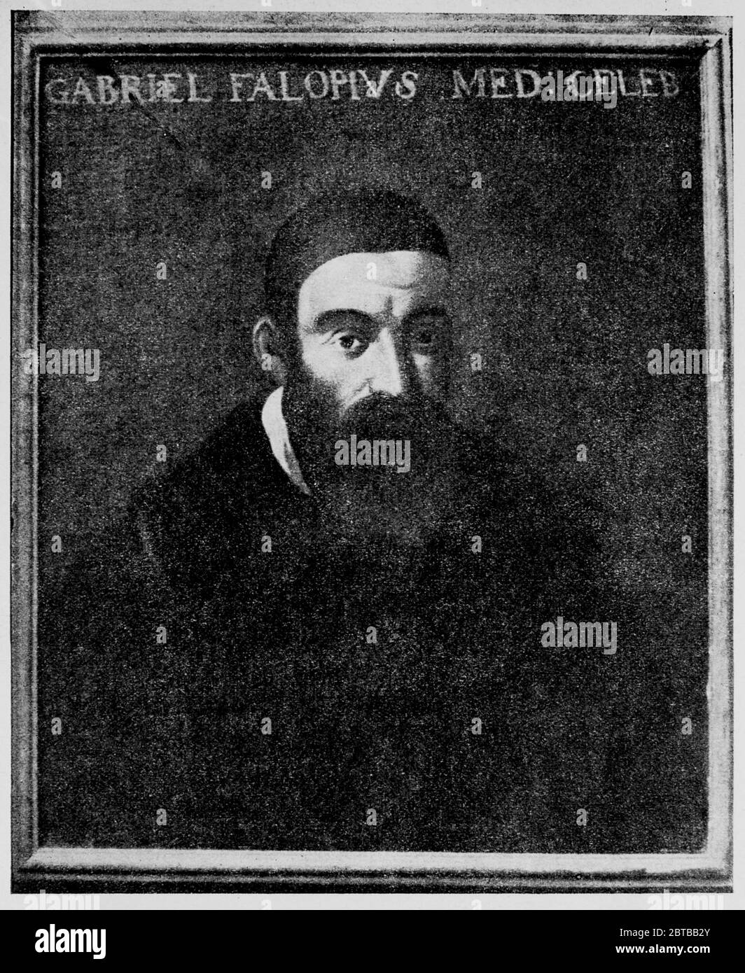 Ginecologia medicina hires stock photography and images Alamy Ginecologia medicina hires stock photography and images Alamy