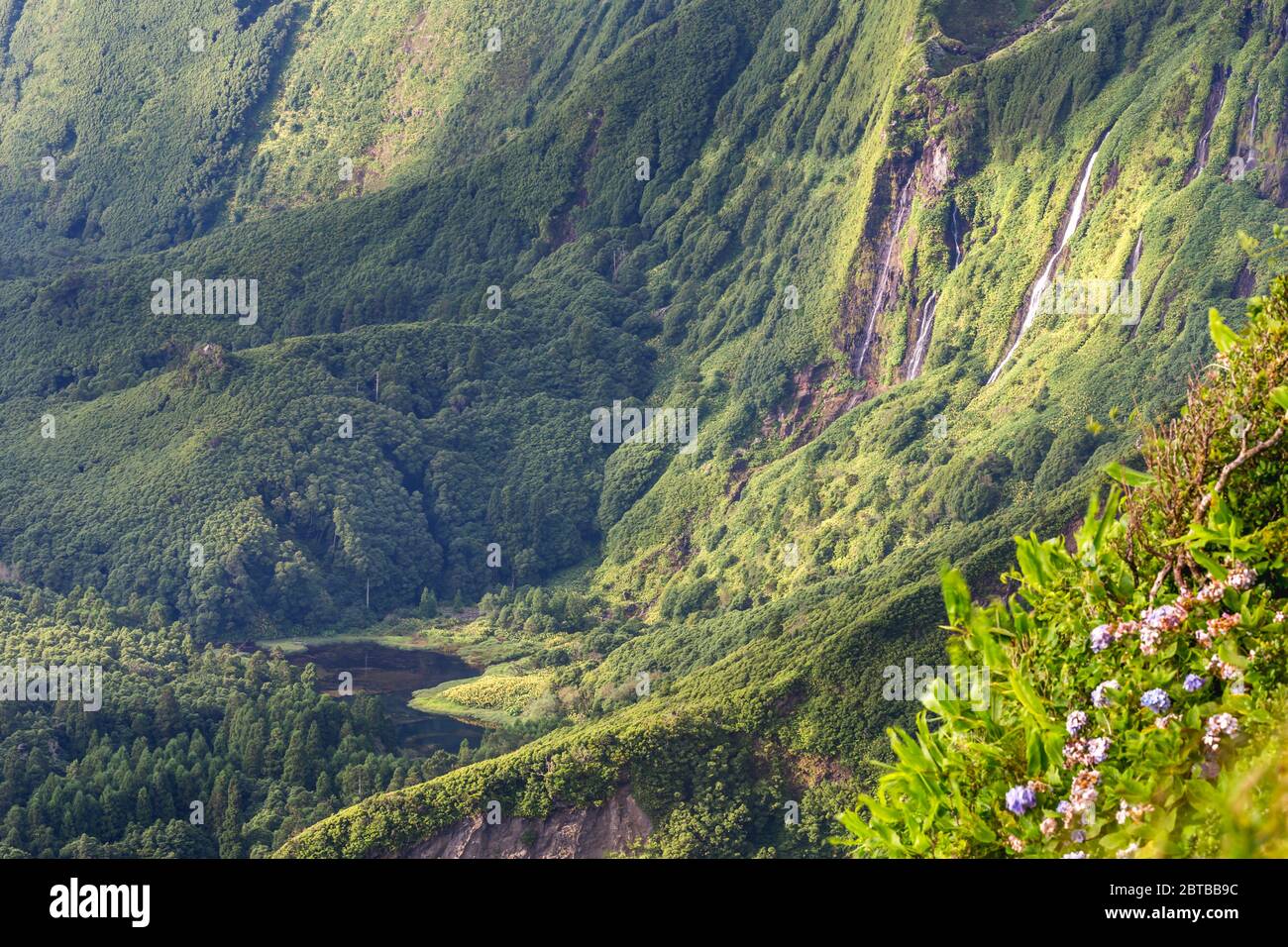 High view of Azores landscape in Flores island. Waterfalls in Poco do Ribeira do Ferreiro. Portugal Stock Photo