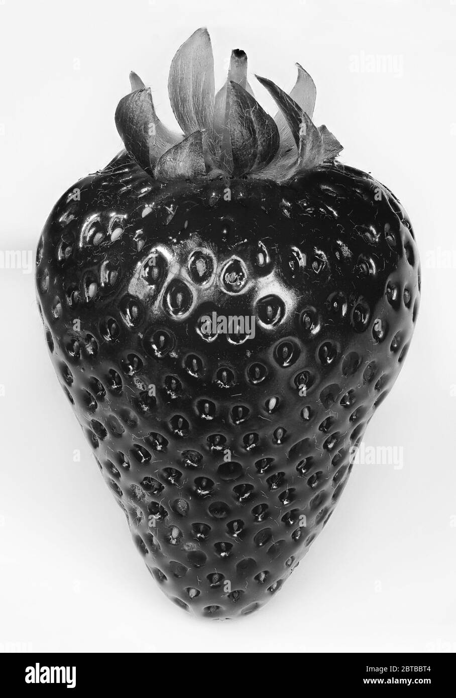 Strawberry fruit portrait - Fragaria ananassa in black and white monochrome Stock Photo