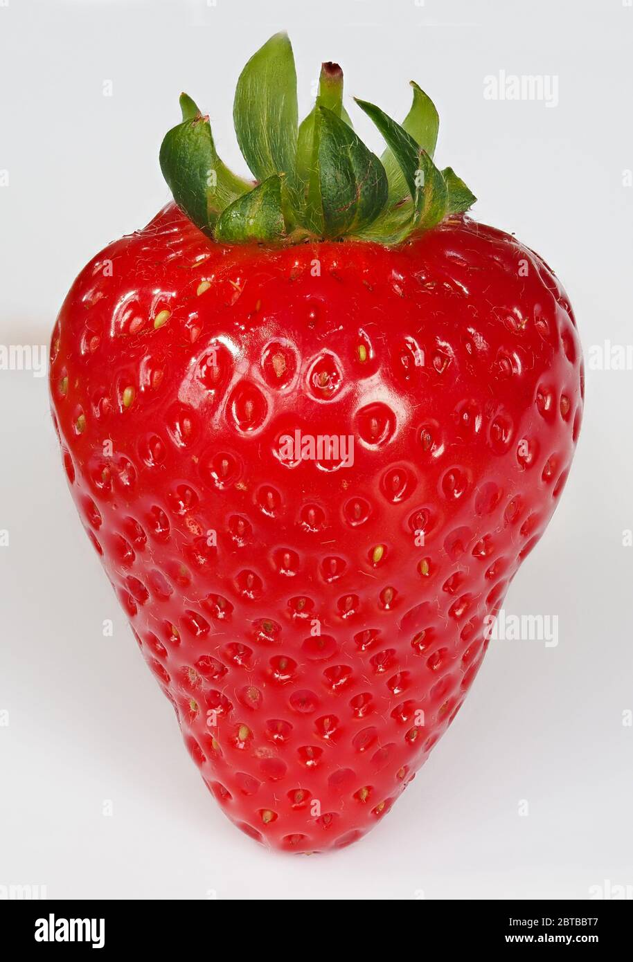 Strawberry fruit portrait - Fragaria ananassa Stock Photo