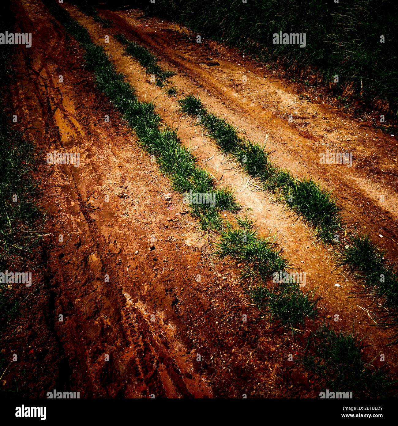 Country lane, digitaly filterd view, Isere, France Stock Photo