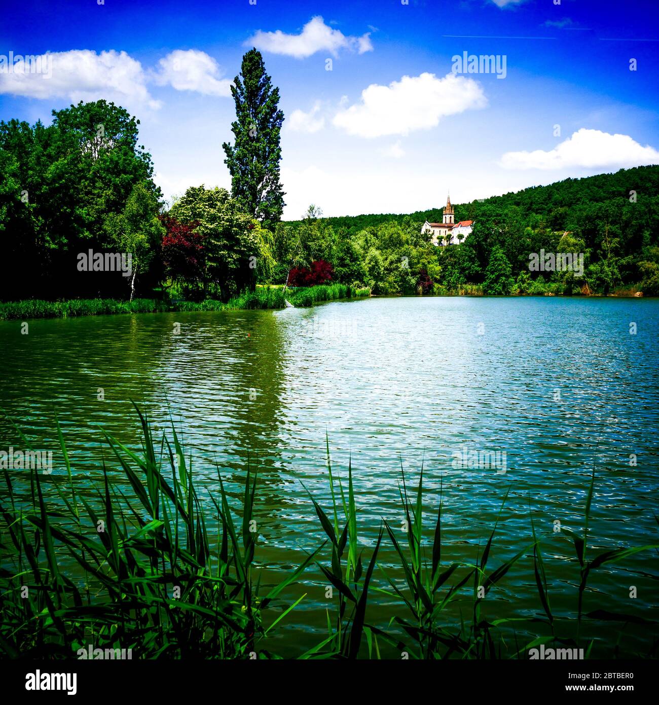 Pond Of Dizimieu Digitally Filtered View Isere France Stock Photo pond-of-dizimieu-digitally-filtered-view-isere-france-stock-photo