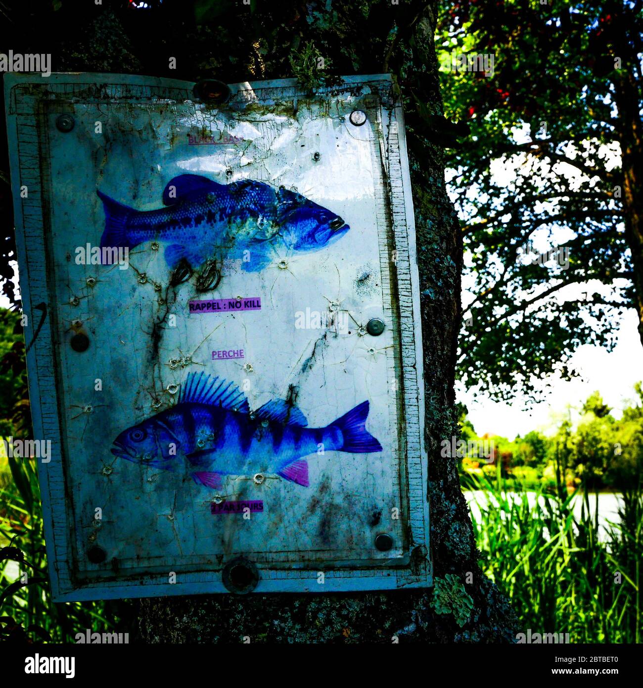 Instructions For Fishermen Pond Of Dizimieu Isere France Stock Photo instructions-for-fishermen-pond-of-dizimieu-isere-france-stock-photo