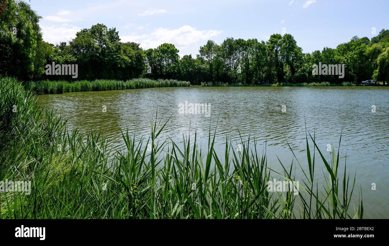 Pond Of Dizimieu Digitally Filtered View Isere France Stock Photo pond-of-dizimieu-digitally-filtered-view-isere-france-stock-photo