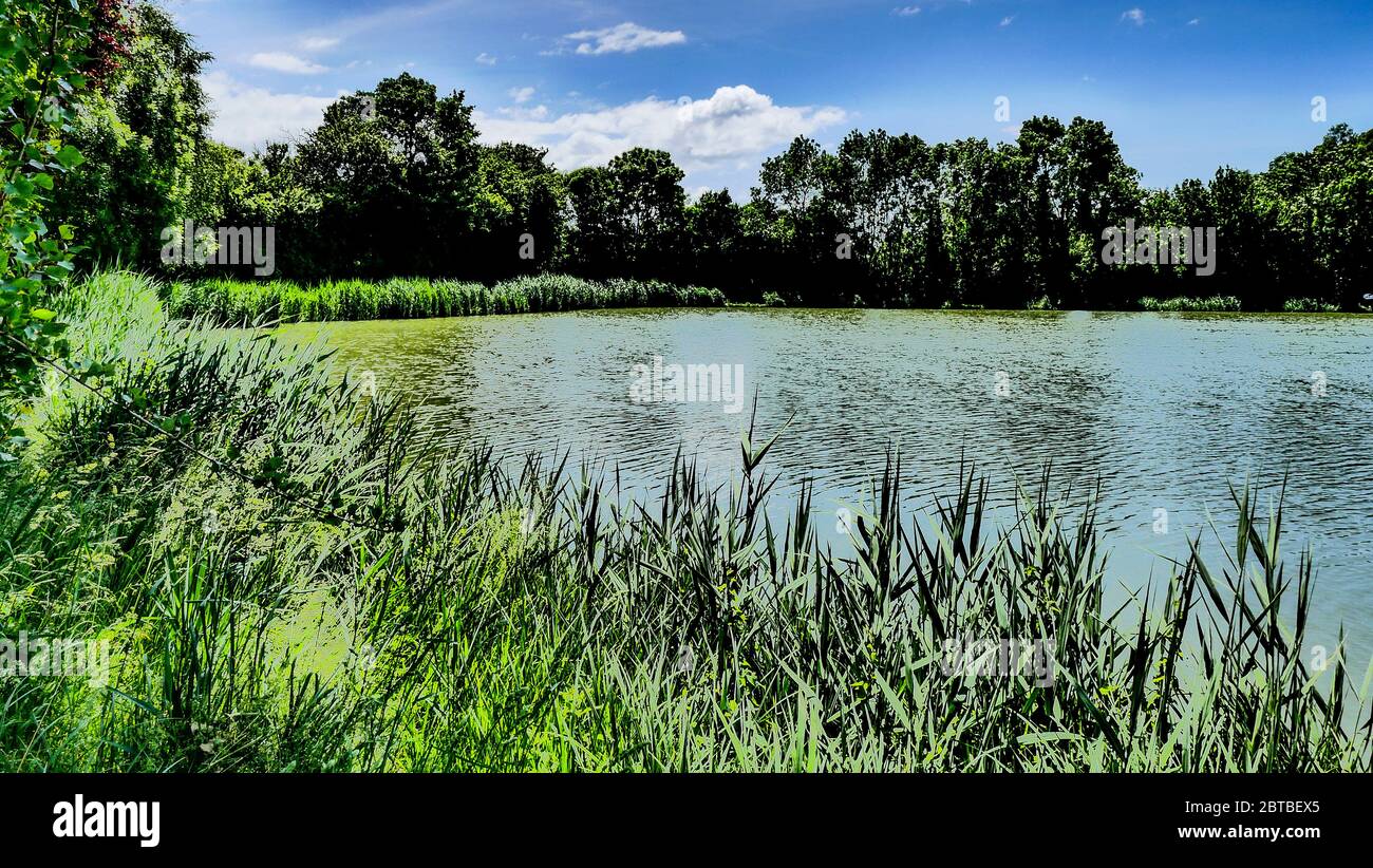 Pond Of Dizimieu Digitally Filtered View Isere France Stock Photo pond-of-dizimieu-digitally-filtered-view-isere-france-stock-photo