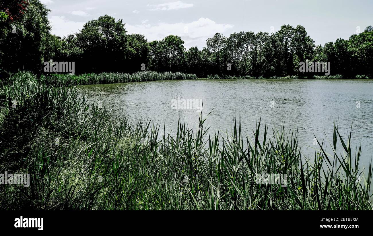 Pond Of Dizimieu Digitally Filtered View Isere France Stock Photo pond-of-dizimieu-digitally-filtered-view-isere-france-stock-photo