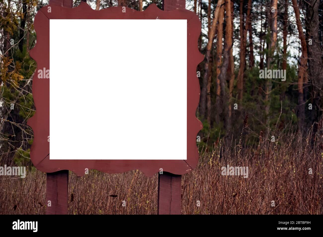 White square in a brown wooden frame on a forest background. Place for text, banner,  mockup Stock Photo