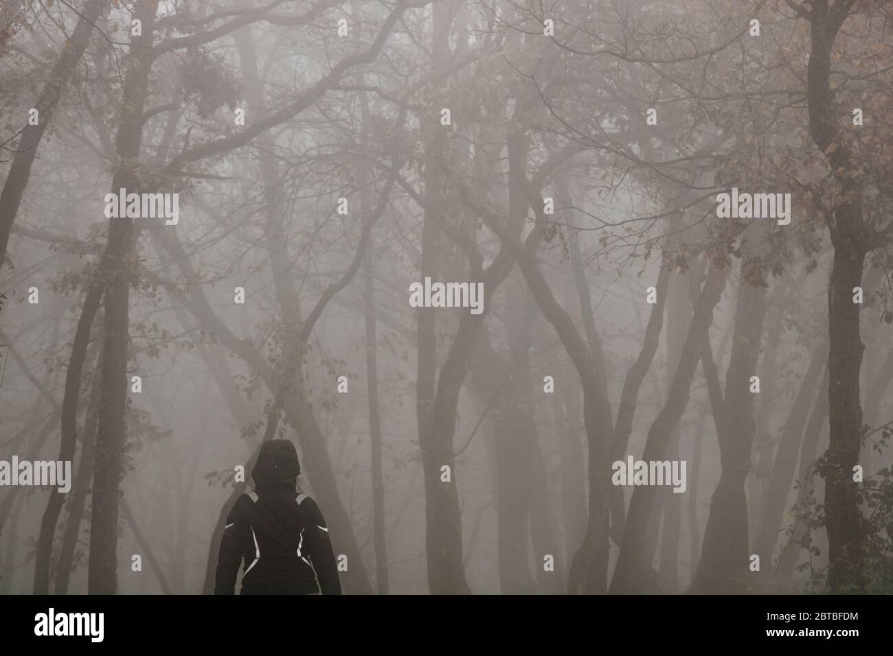 Girl walking among the fog and trees in a dark forest Stock Photo - Alamy