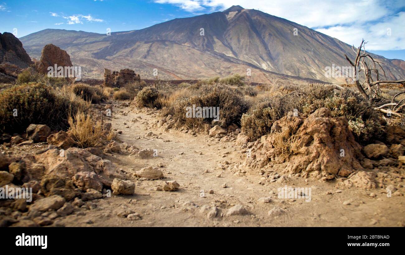 Landscape of arid desert with dry plants and bushes on the slope of ...