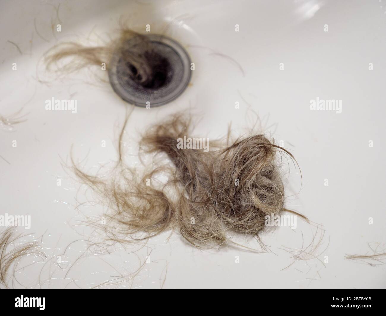 Hair sink hires stock photography and images Alamy
