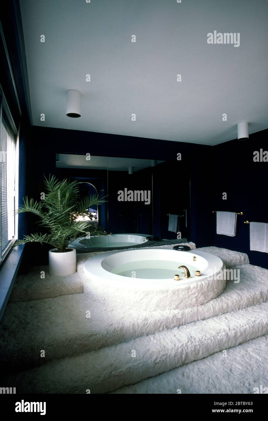 Sixties circular bath on carpeted platform Stock Photo