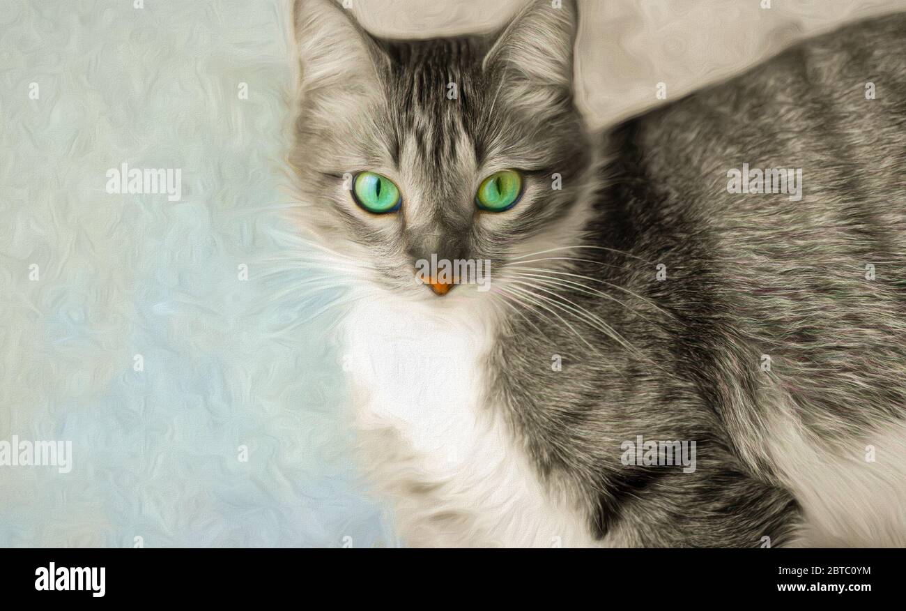 A Tabby Cat with Green Eyes Stock Photo - Alamy