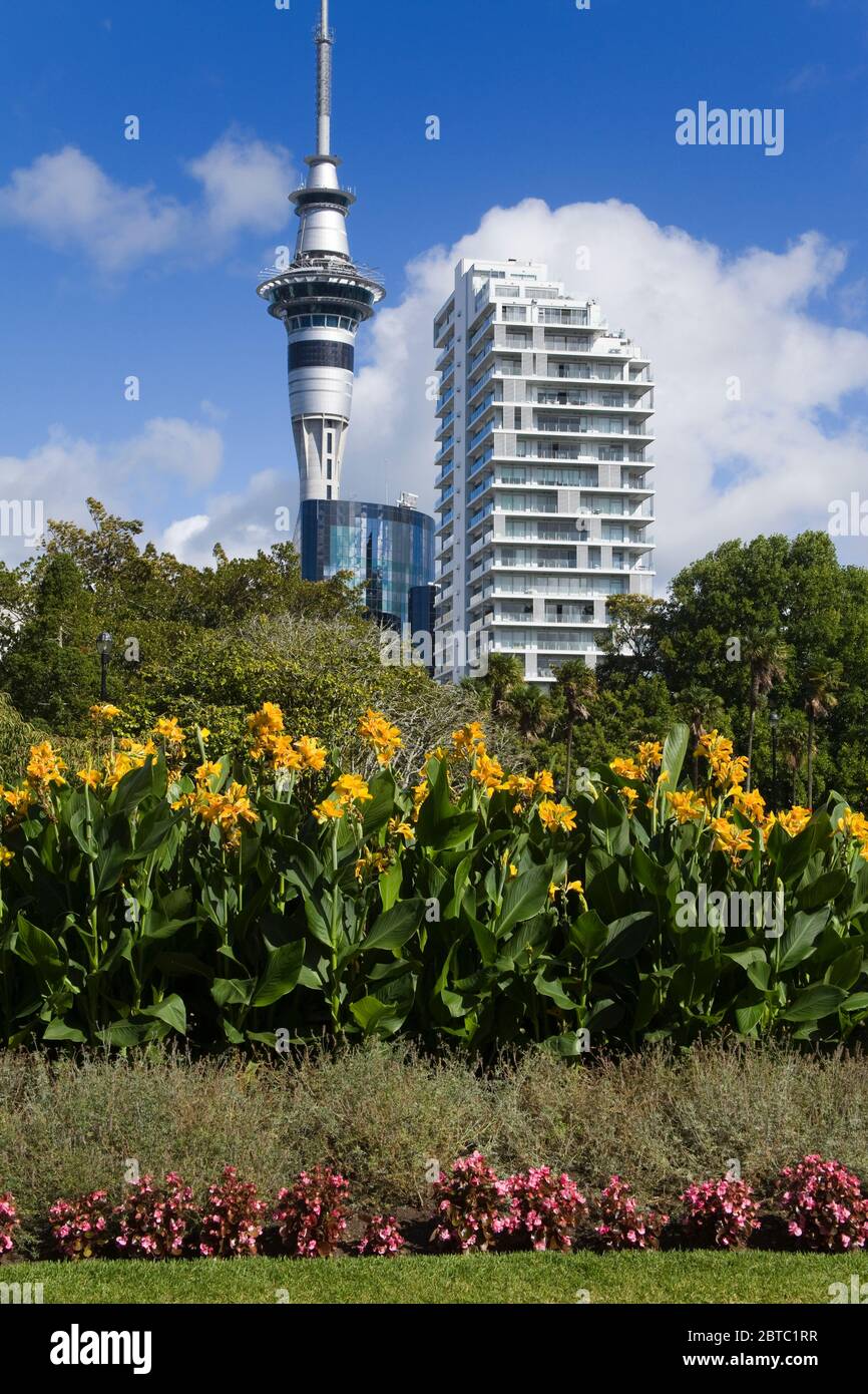 Sky Tower viewed from Albert Park in Auckland,North Island,New Zealand Stock Photo