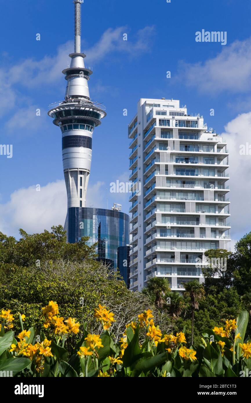 Sky Tower viewed from Albert Park in Auckland,North Island,New Zealand Stock Photo