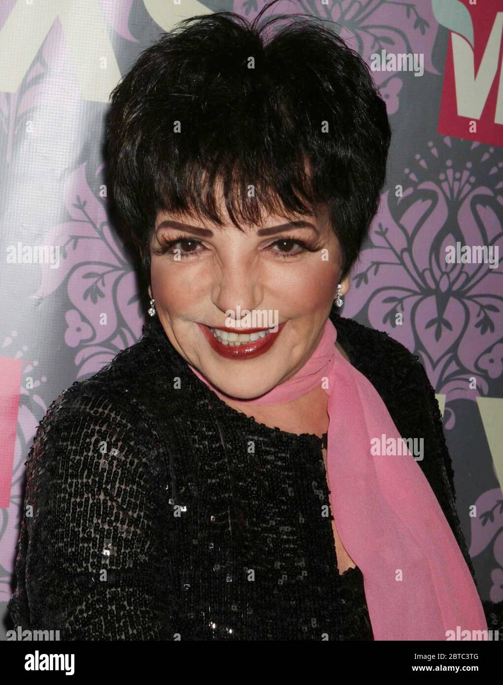 Liza Minnelli 2008, Photo By John Barrett/PHOTOlink Stock Photo - Alamy