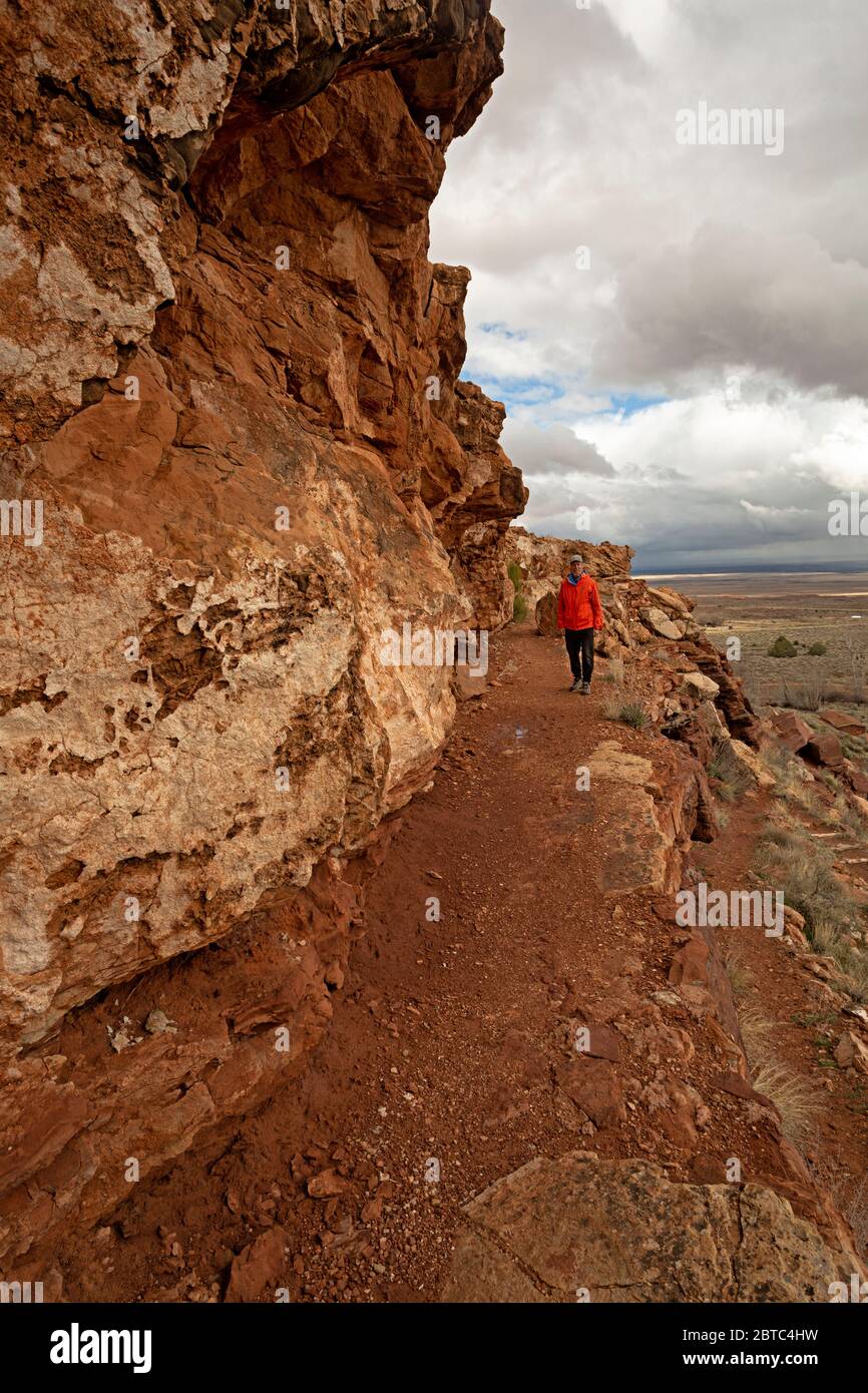 AZ00377-00...ARIZONA - Hiker on the Ridge Trail at Pipe Spring National ...