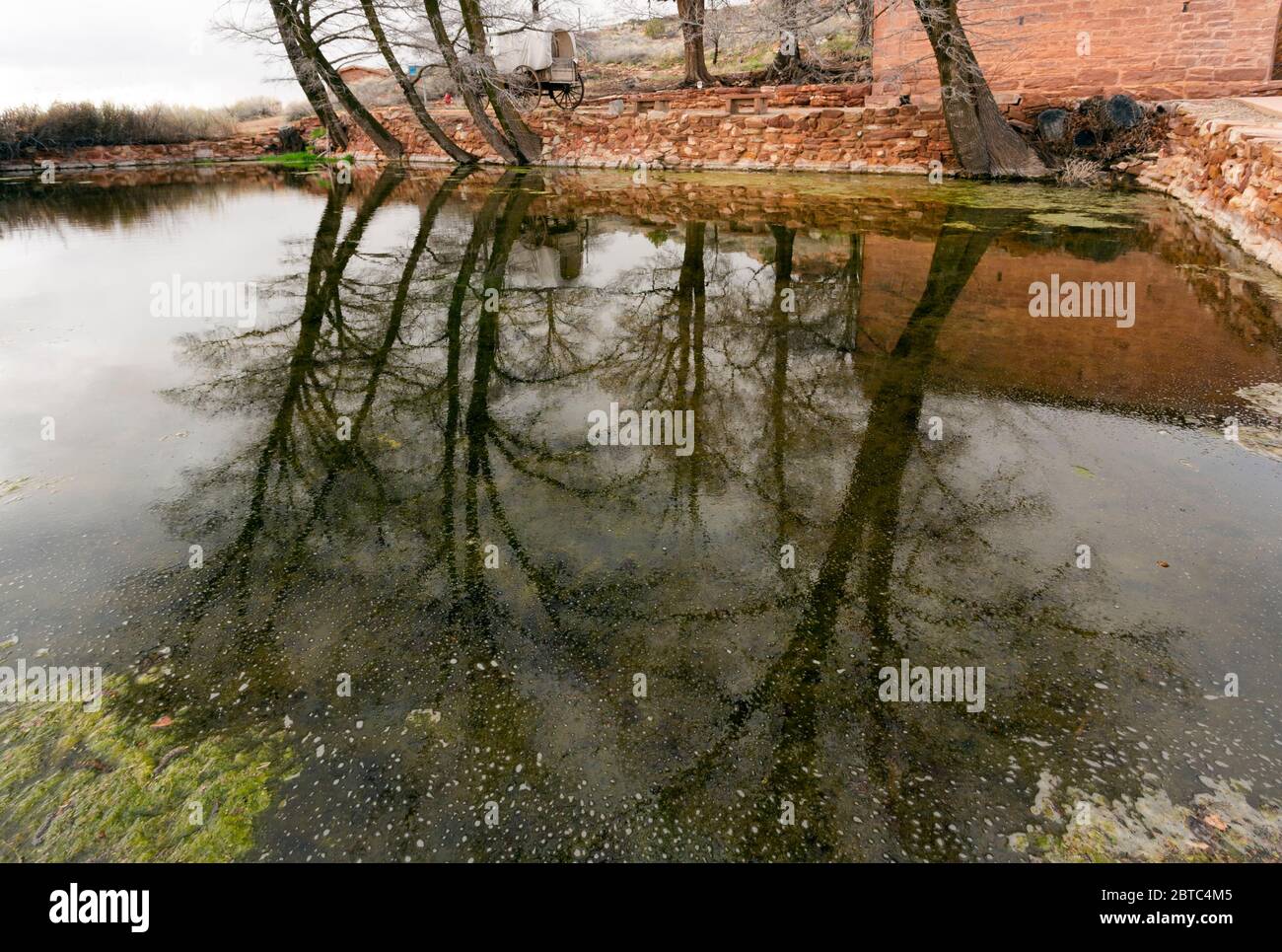 AZ00380-00....ARIZONA - Trees reflecting in a pond filled by Pipe Spring, a historic watering hole in the dry prairie country  and preserved in Pipe S Stock Photo