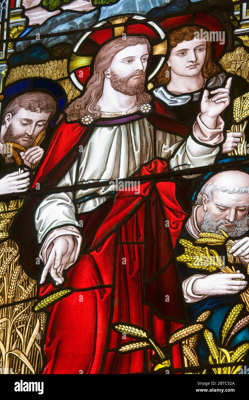 Stained glass window in St. Pauls Anglican Church,Dunedin,Central