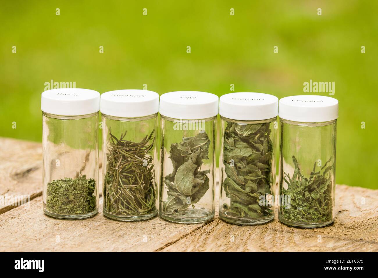 Jars of freshly dried herbs (french thyme, rosemary, sage, oregano, french tarragon) on a picnic table in Issaquah,  Washington, USA Stock Photo