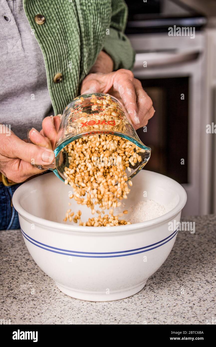 Woman pouring sprouted wheat into a mixing bowl in preparation for