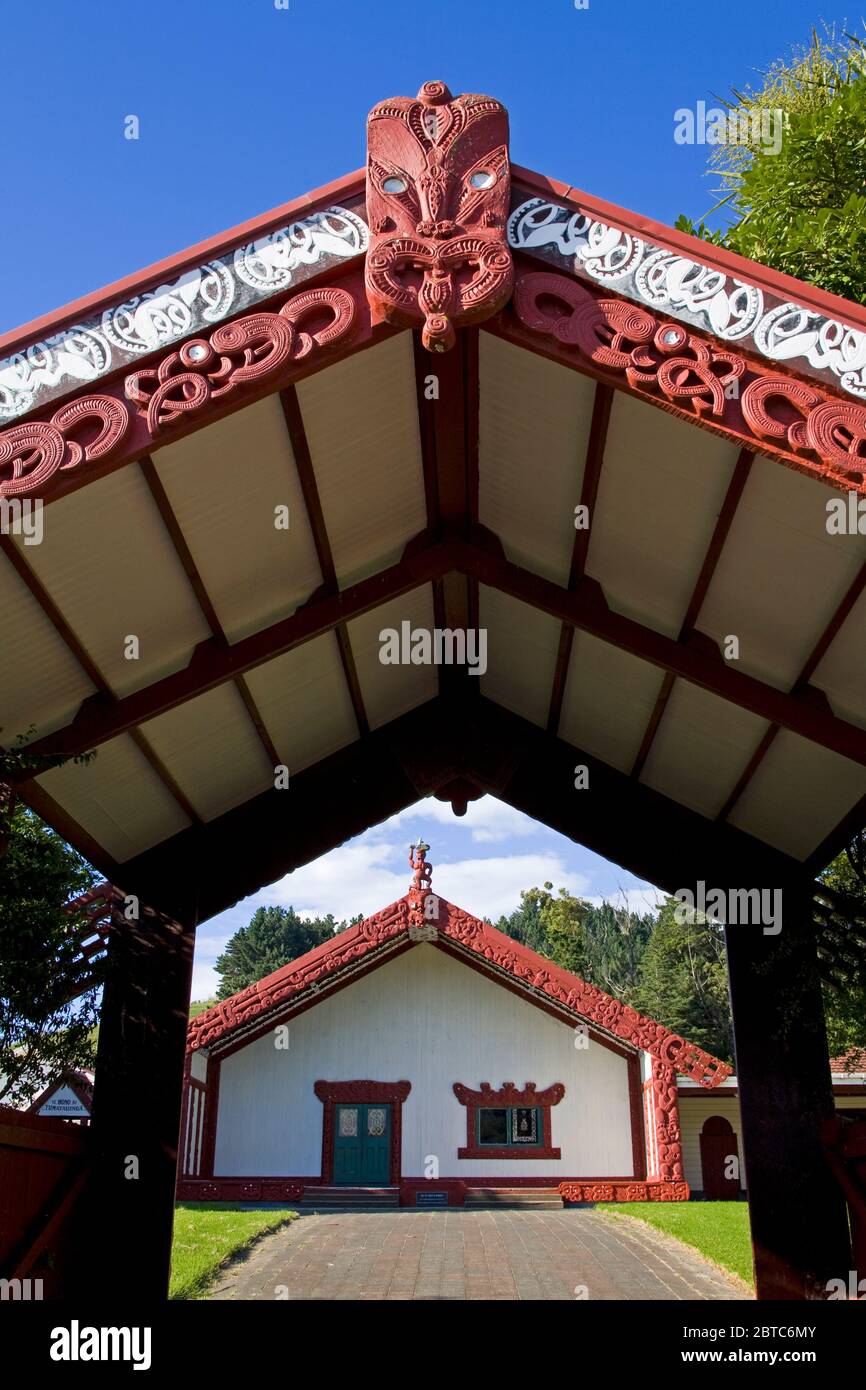 Te poho o rawiri hires stock photography and images Alamy