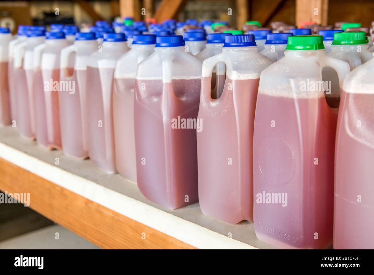 Bottles of freshly made cider on a shelf, near Hood River, Oregon, USA.  This cider is made from a combination of apples, grapes and pears.  Extra hea Stock Photo