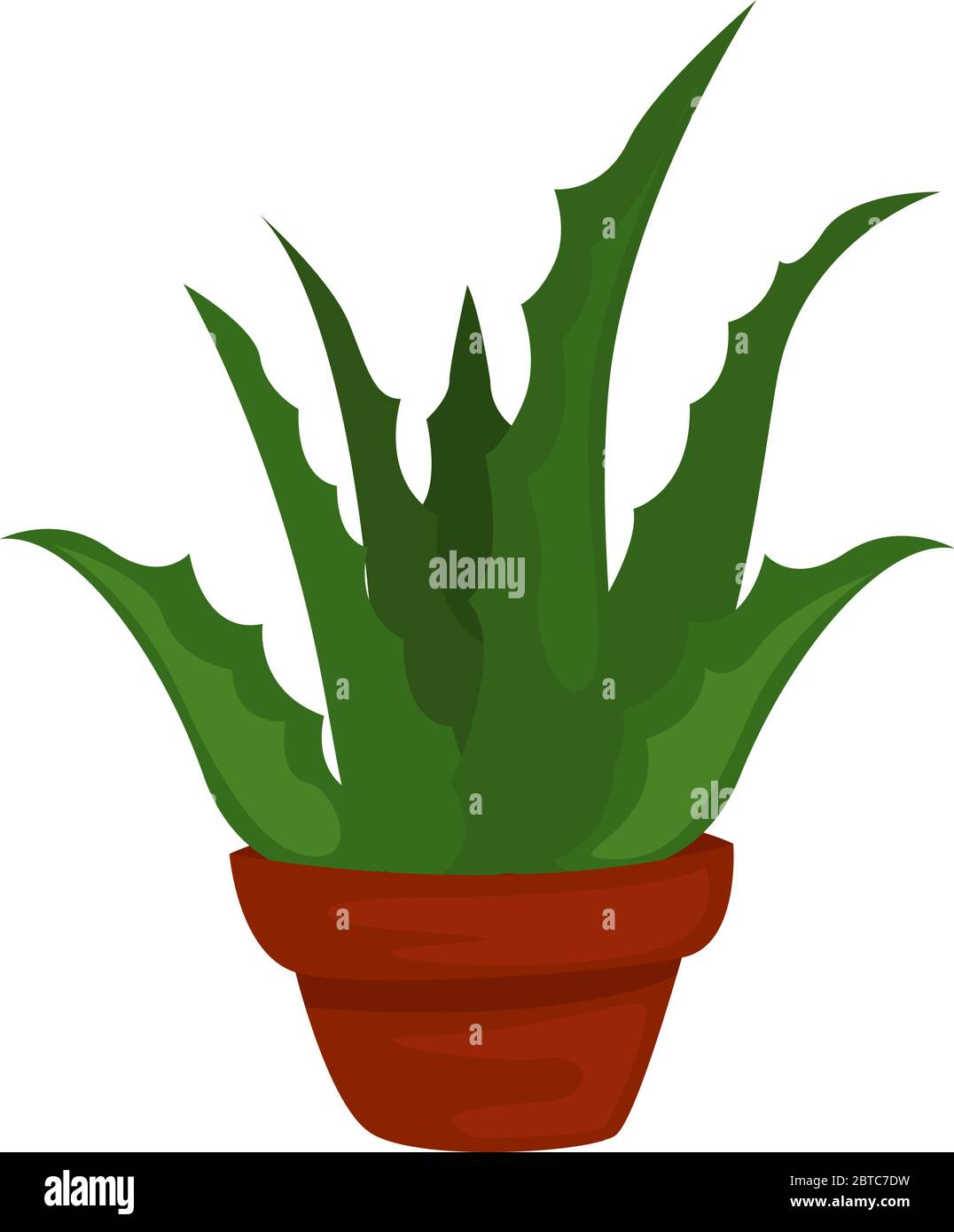 Aloe in pot , illustration, vector on white background Stock Vector