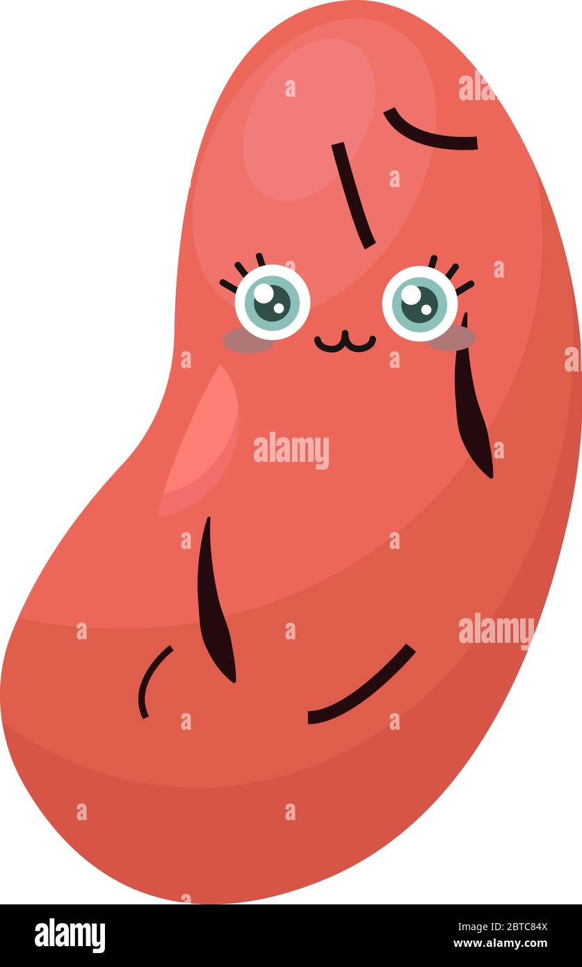 Red bean , illustration, vector on white background Stock Vector Image