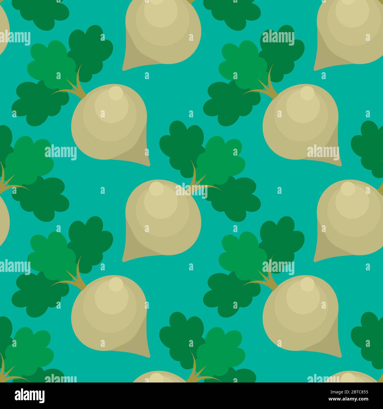 Beets pattern , illustration, vector on white background Stock Vector