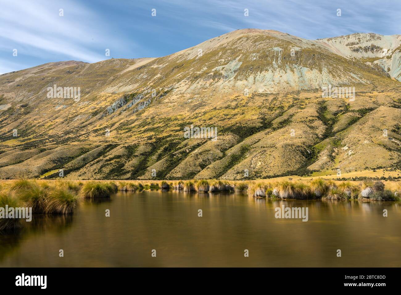 Wetland, Mavora Lakes, New Zealand, March 2020 Stock Photo
