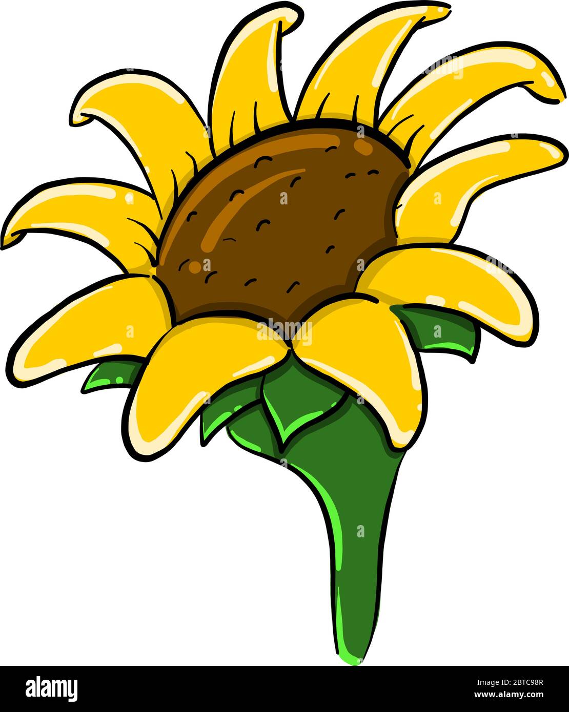 Sunflower Stem Stock Vector Images - Alamy