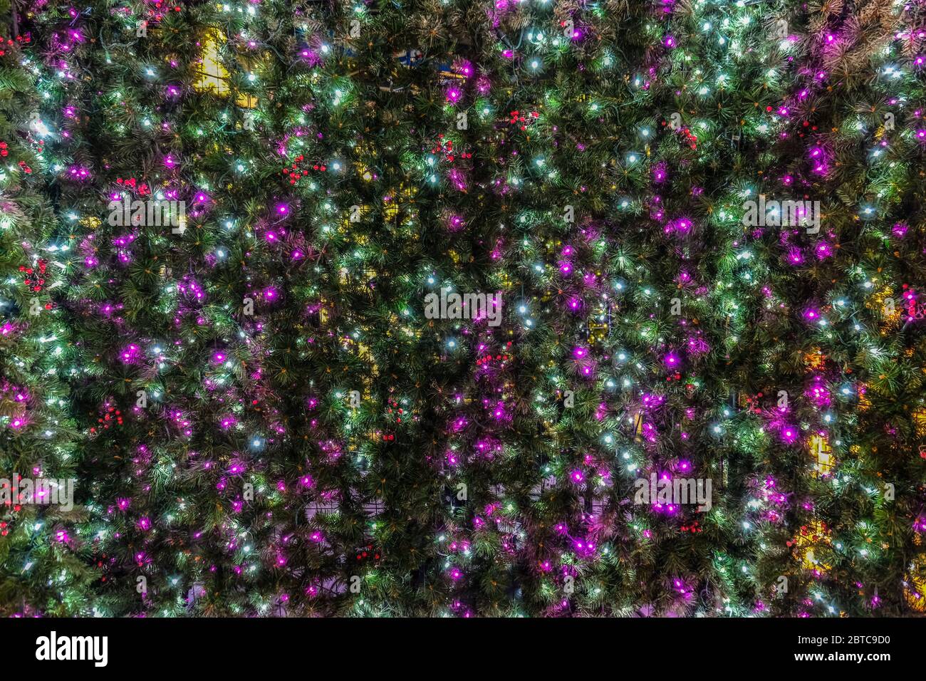 Tiny green and red LED Christmas lights filled background Stock Photo Alamy