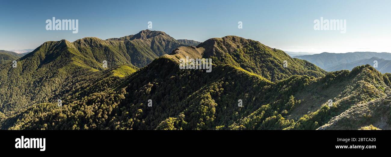 Mt Crawford and the forested Tararua Ranges, New Zealand, February 2020 Stock Photo