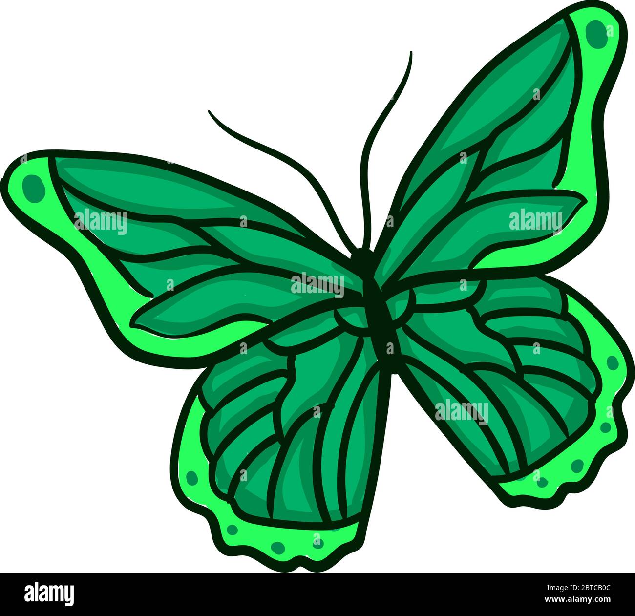 Green moth Stock Vector Images Alamy