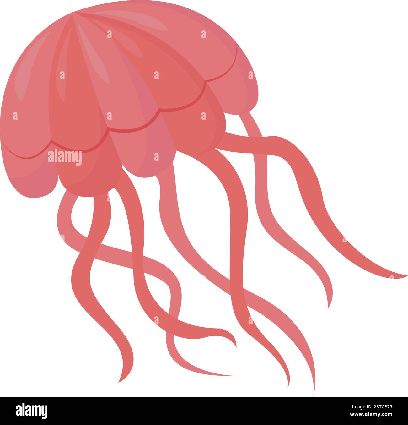 Pink jelly fish , illustration, vector on white background Stock Vector