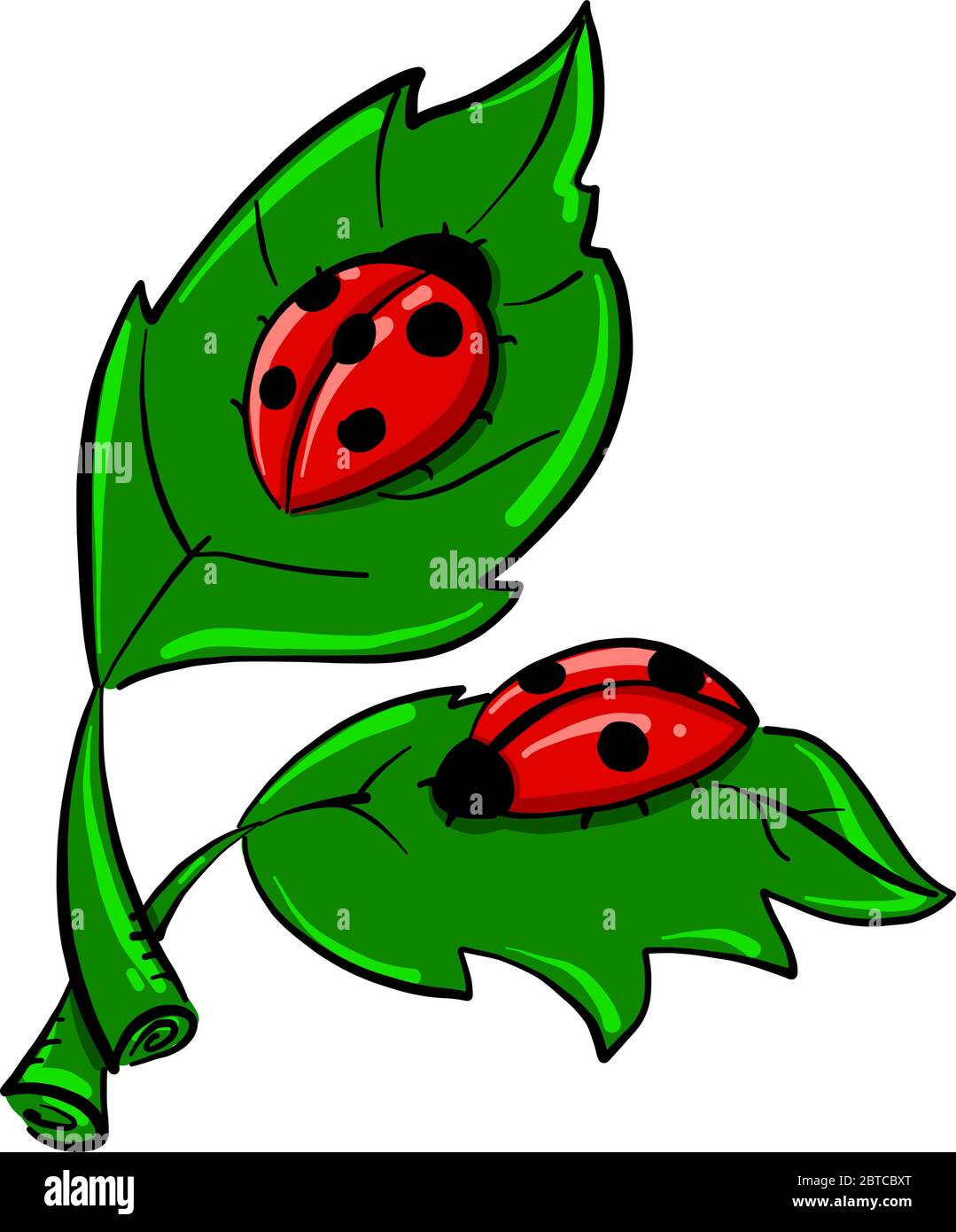 Ladybugs on leaves , illustration, vector on white background Stock Vector
